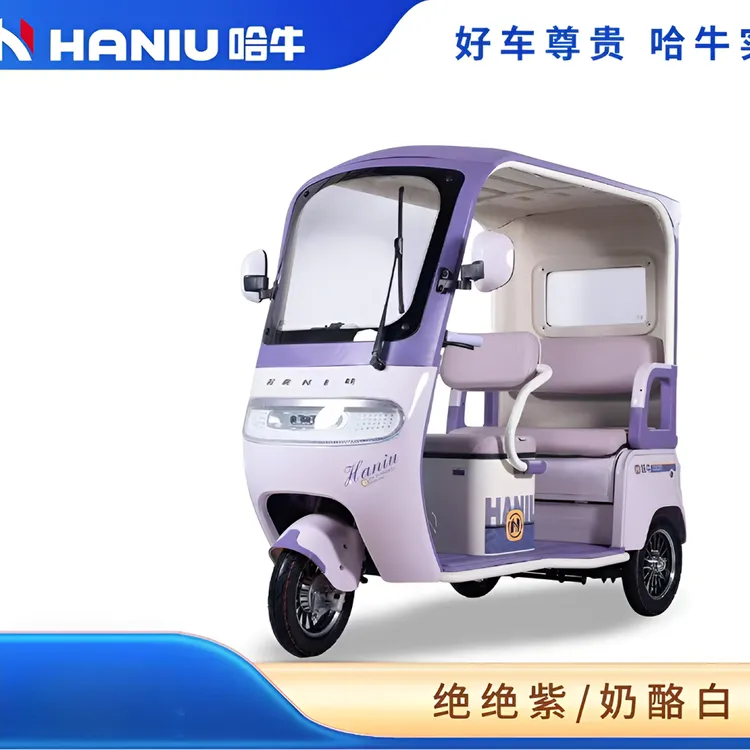 HANIU/哈牛【整车发货】哈牛新国标电动三轮车带蓬雨帘工厂直营