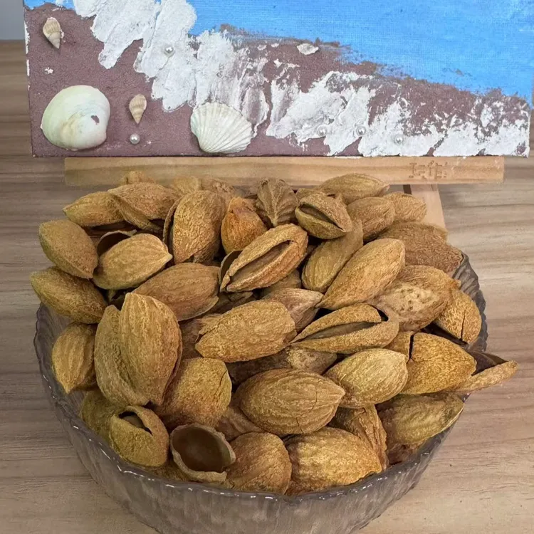 新疆巴旦木营养丰富