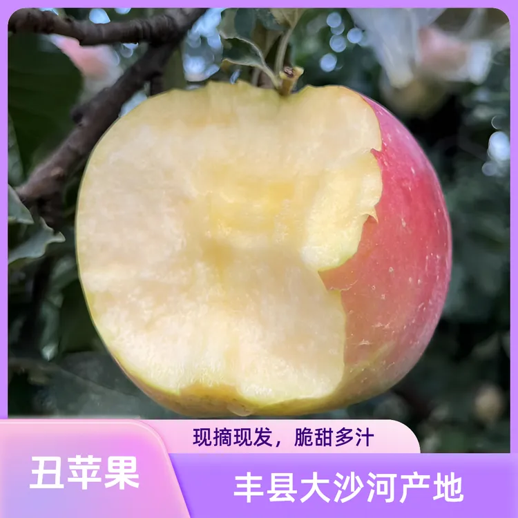 2025新鲜丰县大沙河红富士丑苹果产地水果直发包邮包售后