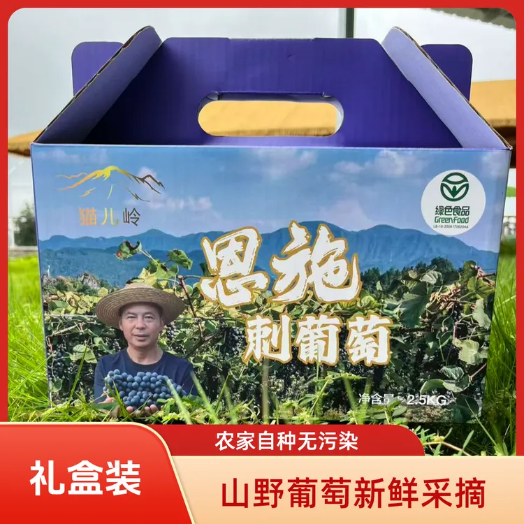 湖北恩施高山刺葡萄原生态种植新鲜水果礼盒装（限制同城）