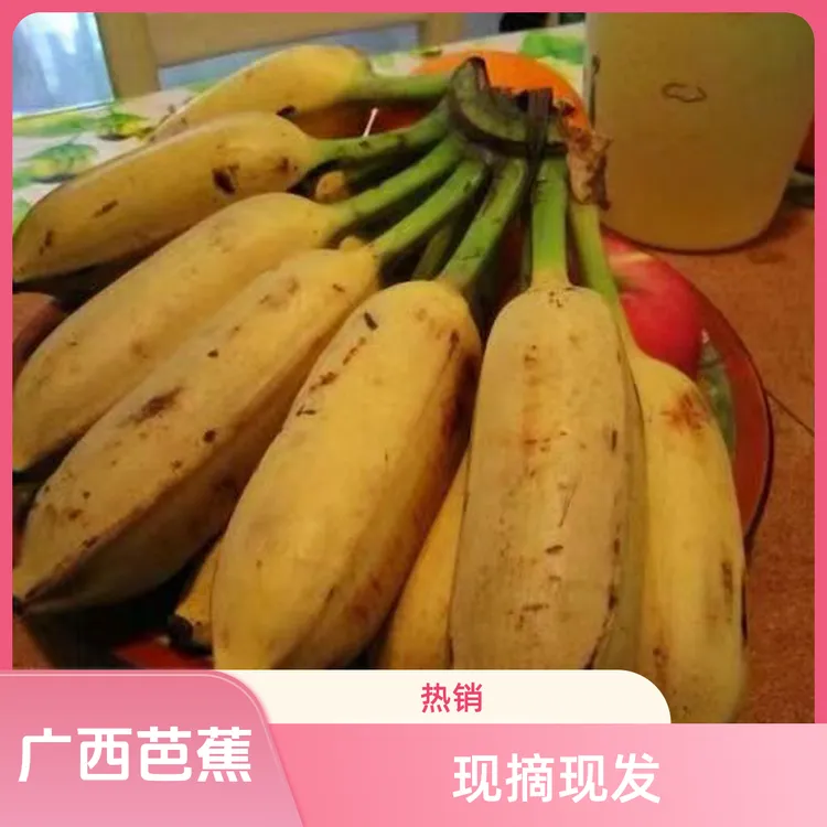 广西芭蕉当季新鲜水果牛蕉大蕉大芭蕉牛角蕉板蕉酸甜味一整箱