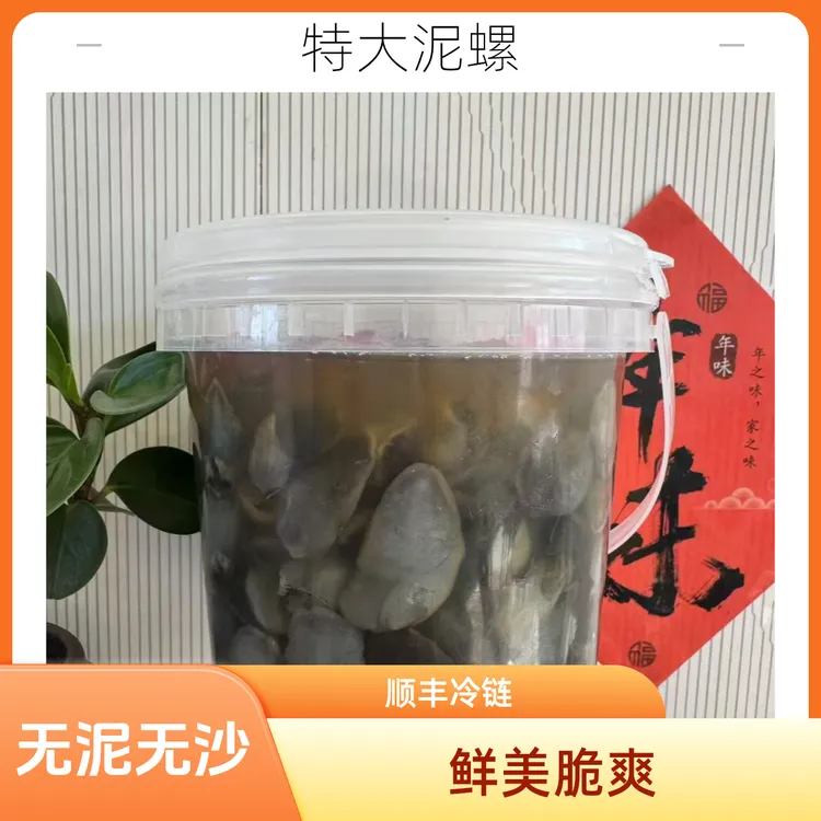 天兴2斤特大超肥大桶装即食泥螺无沙脆爽东港特产（固形物≥55%）
