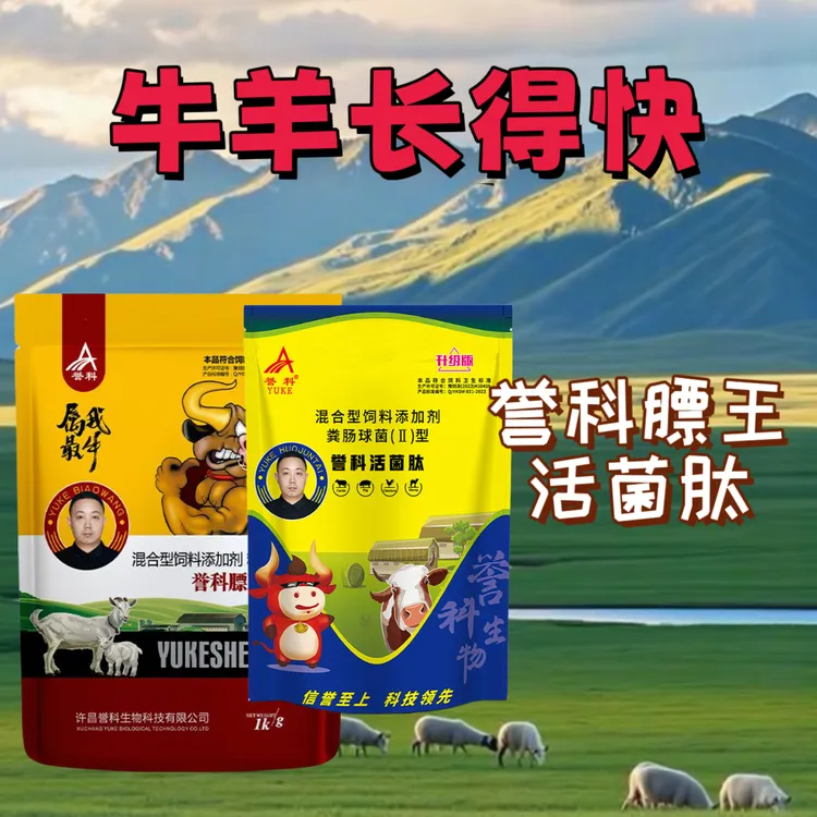 【官方正品】誉科膘王活菌肽育肥牛催肥拉骨架牛羊通用添加剂用品