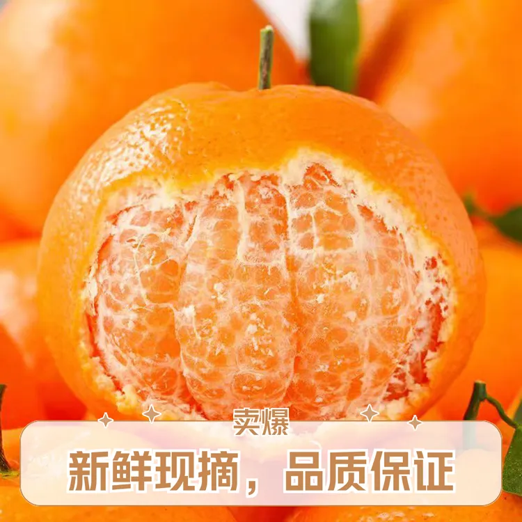 爆甜超好吃】四川丑橘耙耙柑正宗春见粑粑柑橘子新鲜应季水果桔子