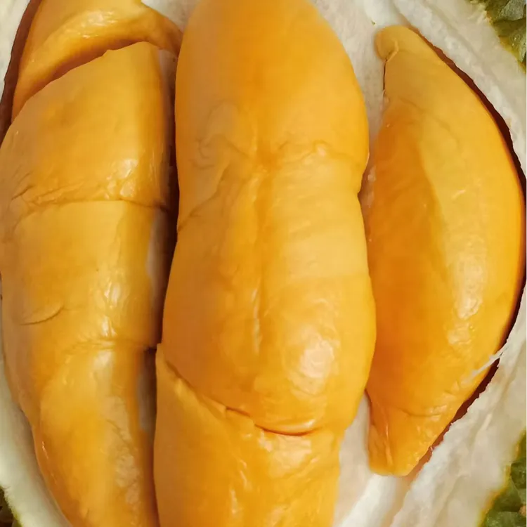 泰国托曼尼小猫榴莲鲜货A果包四房3-8斤 （顺丰/京东包邮）