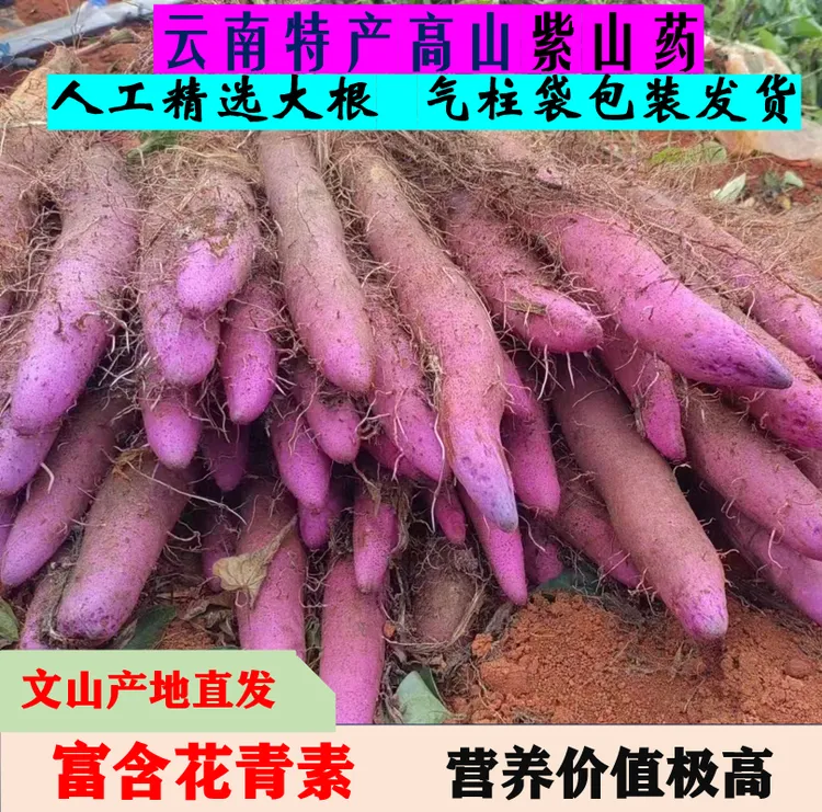 正宗云南高原铁棍紫山药 紫人参老品种花青素极高粉糯香甜