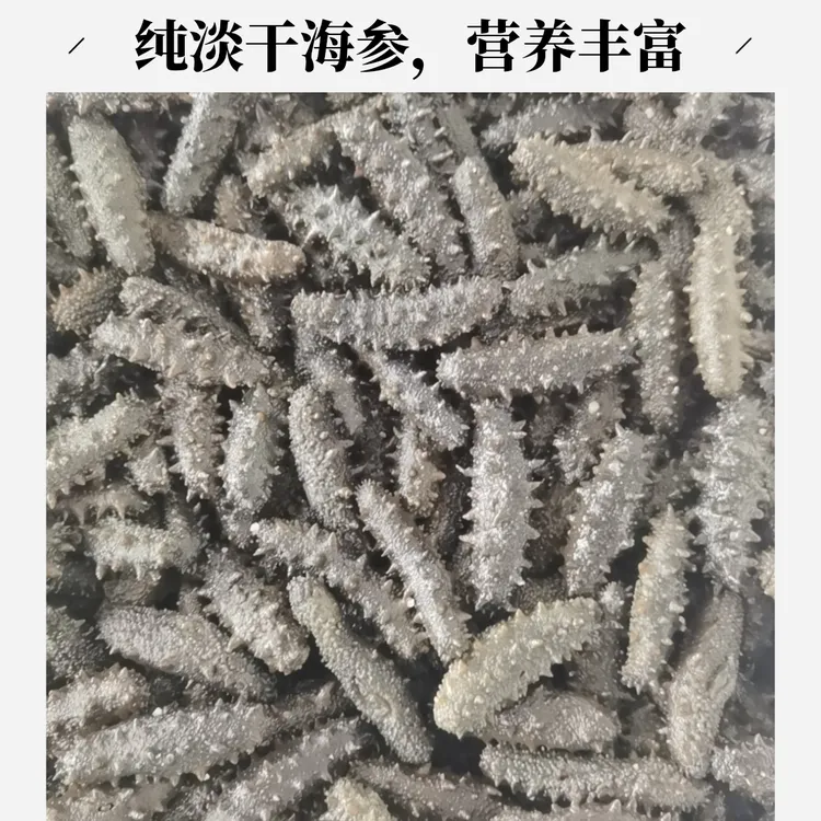  拉干盐海参半干海参包邮1斤20-30头
