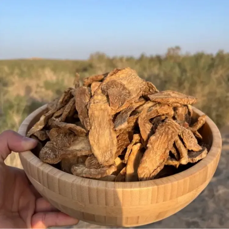 荒漠肉苁蓉精选鲜干切片 500克/袋 可泡水煲汤泡酒