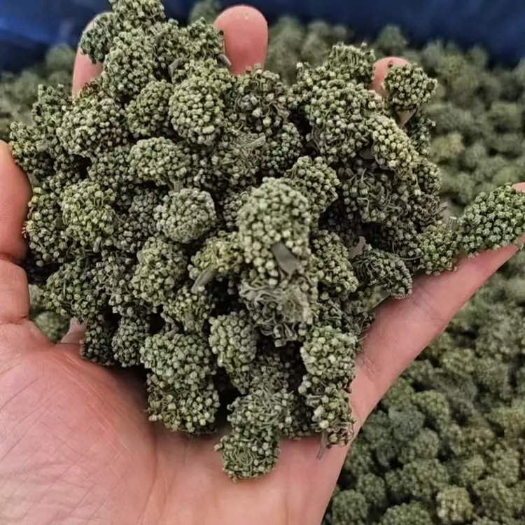 云南三七花文山特产三七干花自然中药材茶饮