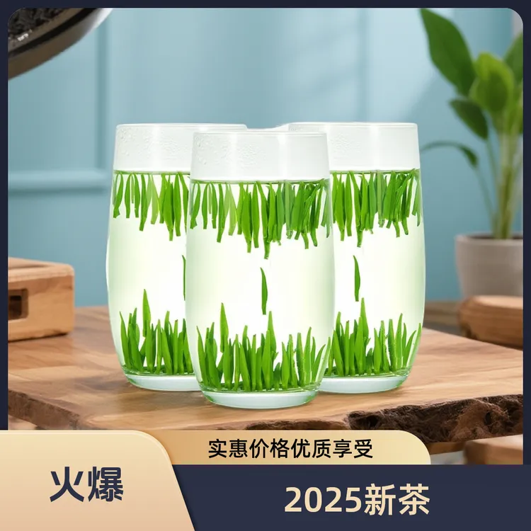 茶叶2025新茶绿茶叶正宗明前特级雀舌贵州翠芽毛尖商用高级茶叶