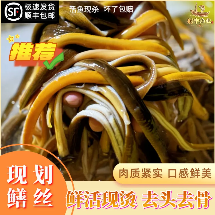 新鲜鳝丝大条到手2斤顺丰快递当天发货