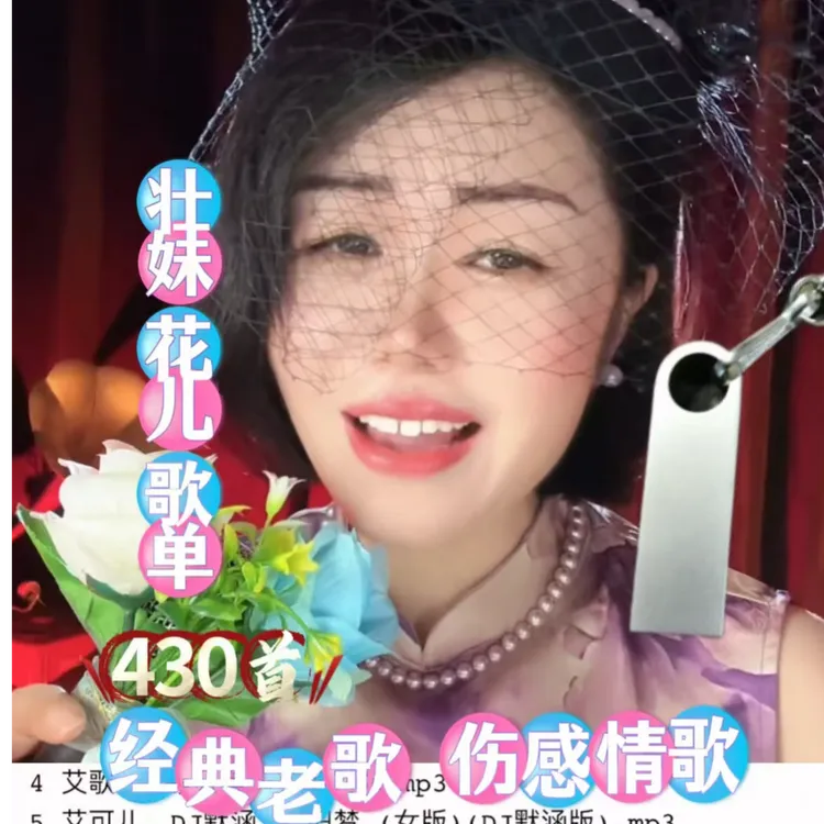 壮妹花儿专属～经典情歌怀旧歌曲韩宝仪林翠萍等车载专用U盘