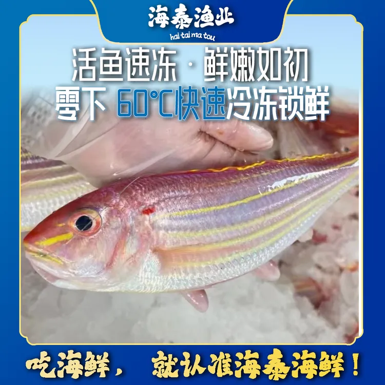 【金线鱼】海泰码头 自家渔船 深海捕捞 鲜活速冻 锁鲜冷链到家