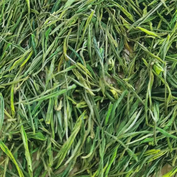 【主播推荐】2025年新茶白茶毛峰绿茶【250g-500g】袋装