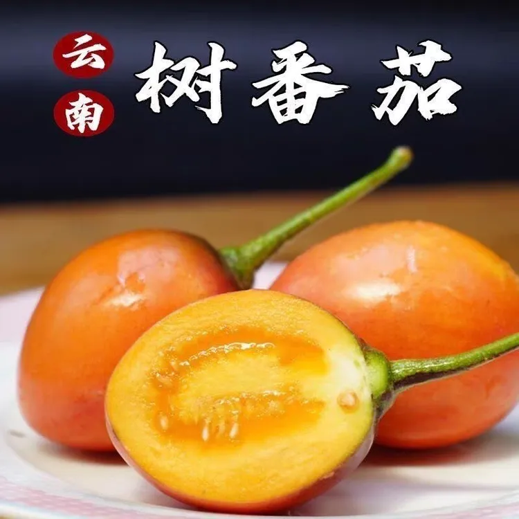 云南特产大树番茄洋番茄洋酸茄洋鸡蛋缅茄时令新鲜果蔬傣味树蕃茄