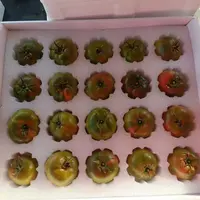 礼盒装 丹东铁皮草莓柿子盐碱地现摘现发西红柿（顺丰包邮）
