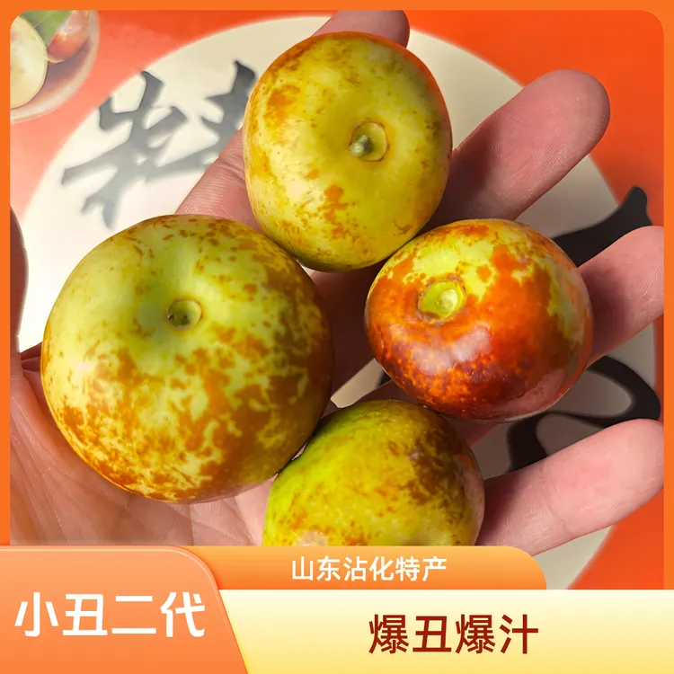 【小丑二代】沾化冬枣 二代冬枣 脆甜多汁 短枝沾冬二代 山东特产