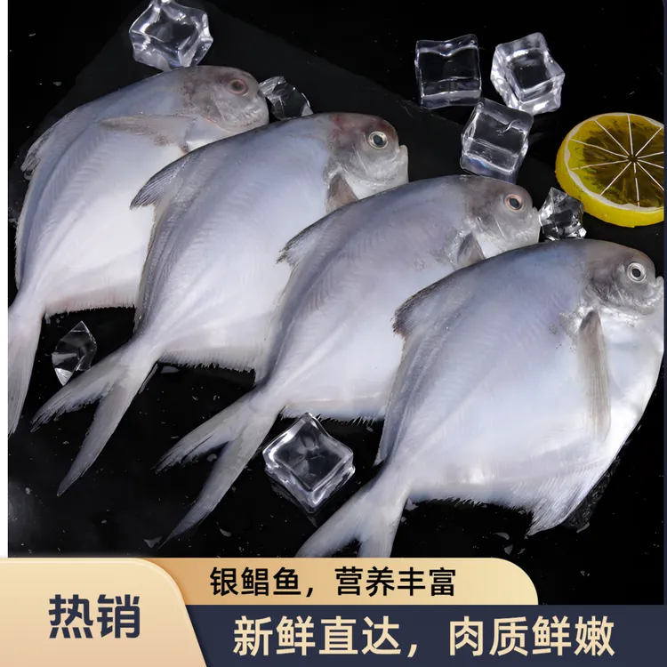 【到手5斤】深海海捕银鲳鱼 新鲜速冻 顺丰京东冷链包邮