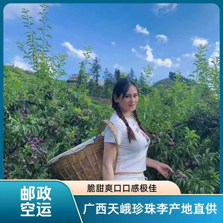 【莫兰专属空运包邮】广西天峨龙滩珍珠李脆甜爽口核小肉多
