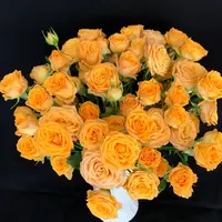 【一品花集】【金色麦浪】稀有多头玫瑰（注意：带包装醒花哦~）
