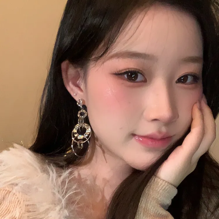 合金耳饰 日韩欧美风复古金色小众长款耳环夸张圈圈欧美个性轻奢