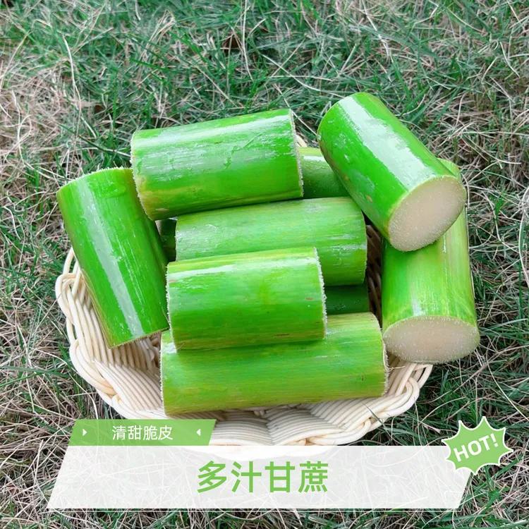陶山多汁甘蔗青皮精品果肉无水裂吃货主播吃美食清甜脆皮时令水果