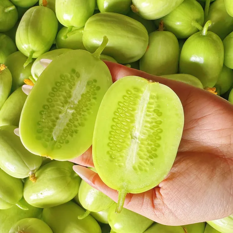 【脆甜多汁】山东玉女黄瓜 生吃水果 新鲜现摘当季 净5斤