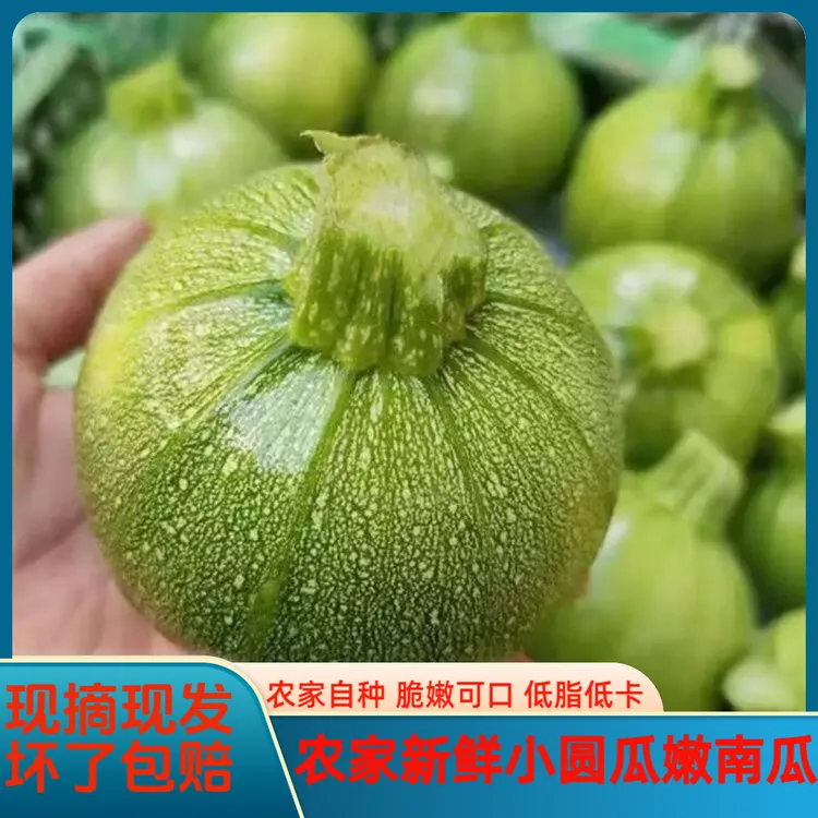 贵州高山嫩南瓜清甜绿皮瓜农家种植新鲜南瓜贵州水煮菜贵州素瓜豆