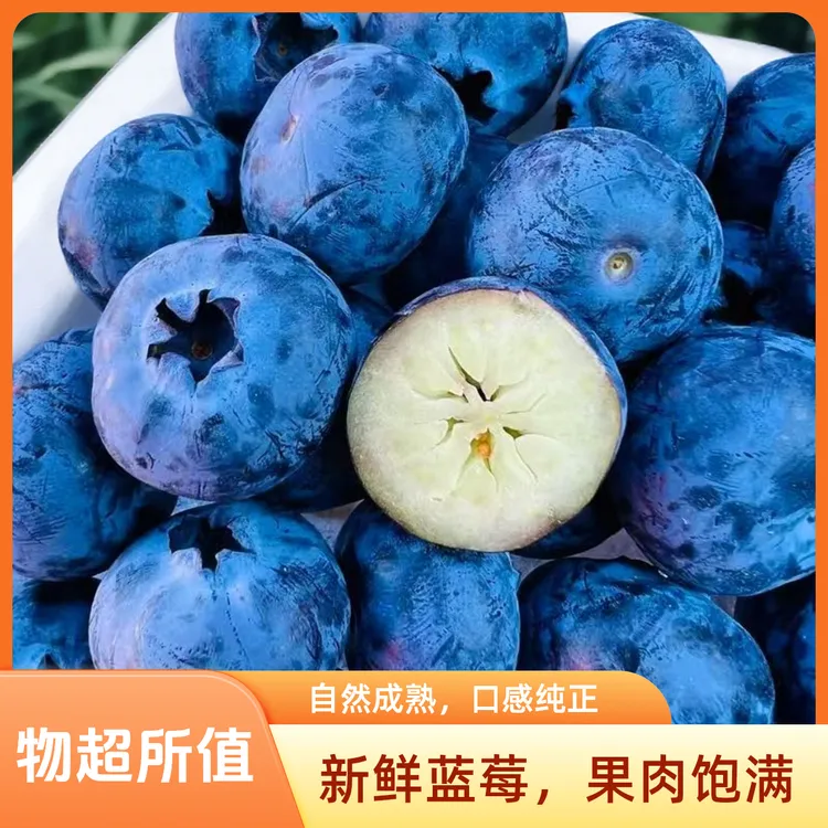云南高山新鲜应季水果花香蓝莓脆甜可口现摘现发全国顺丰空运包邮