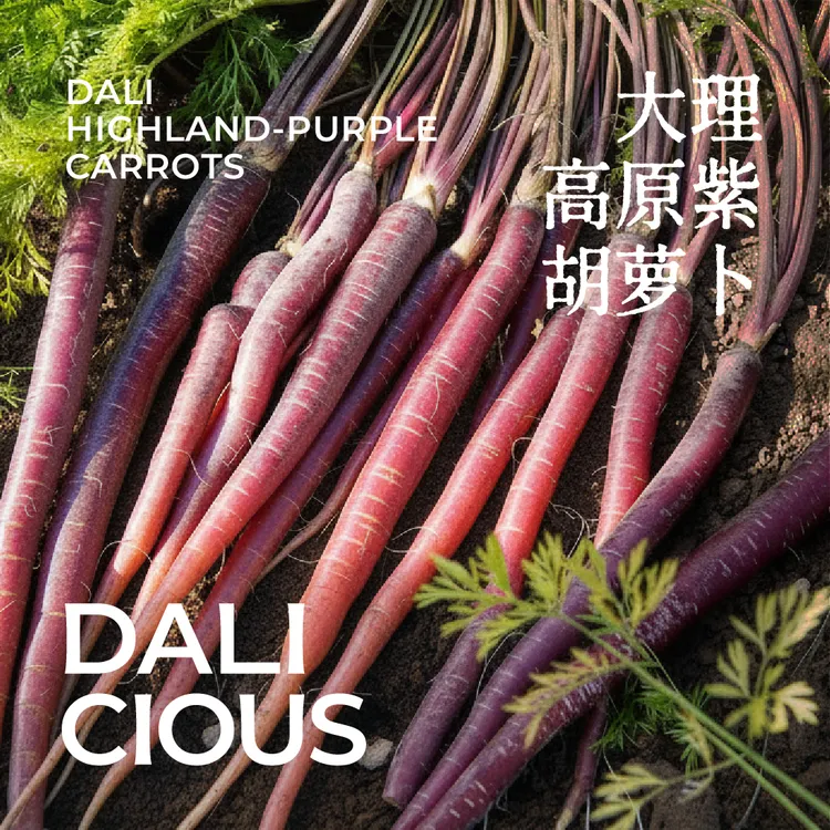 【鼠贝贝专属】理由农场大理高原紫胡萝卜富含花青素 新鲜脆甜细嫩