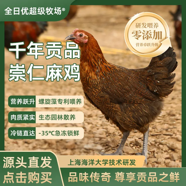 黄飞珏专属正宗崇仁麻鸡260天老母鸡山间散养有机现杀现发全日优超级牧场