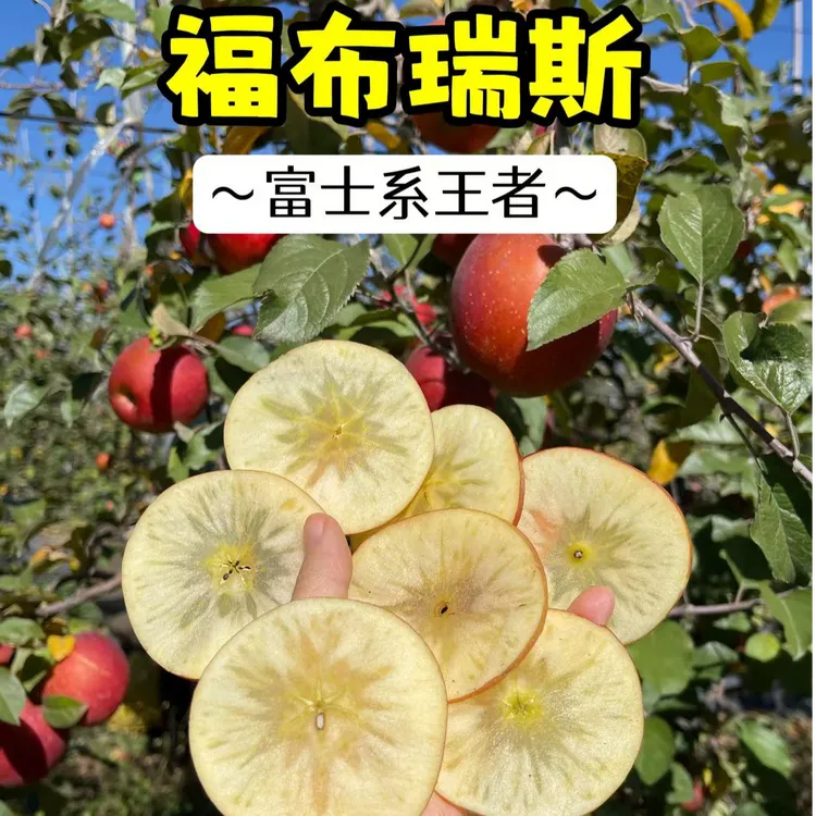 【顺丰发货】云南樱桃小苹果 脆甜无酸 高原冰糖心（净重3斤10-15枚）