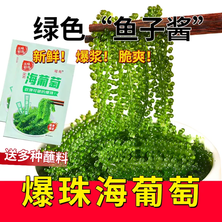 昭苑新鲜儿童海葡萄即食盐渍海藻长寿菜绿色健康营养食材