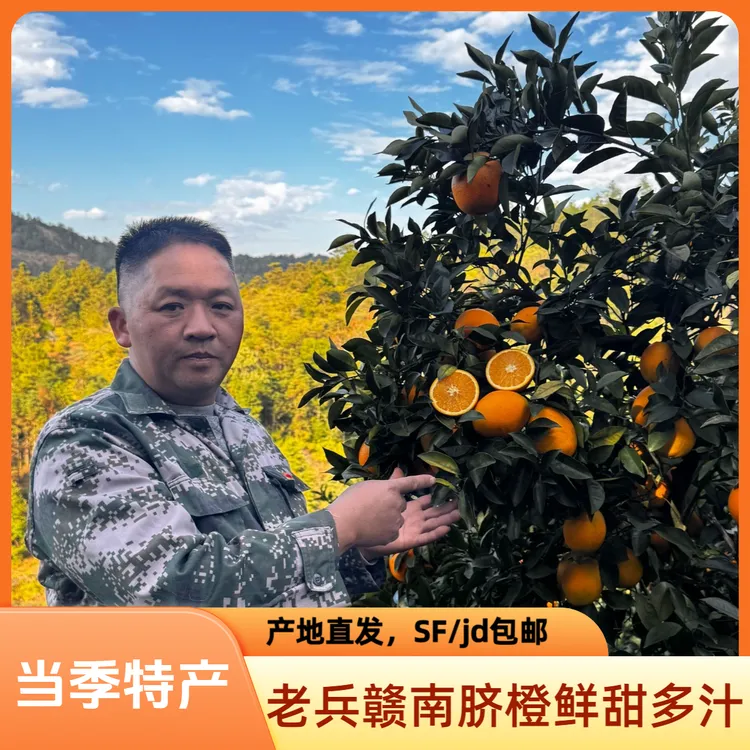 正宗赣南脐橙新鲜当季甜橙赣州产地直发橙子江西赣南清甜爽口