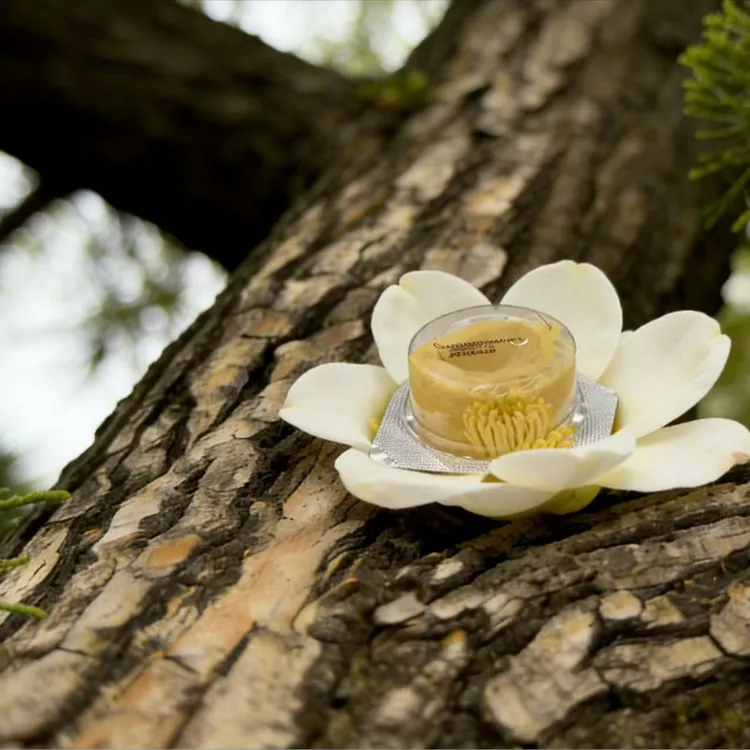 小雨伞 象鼻 斗笠 斗笠帽 八爪鱼商品图