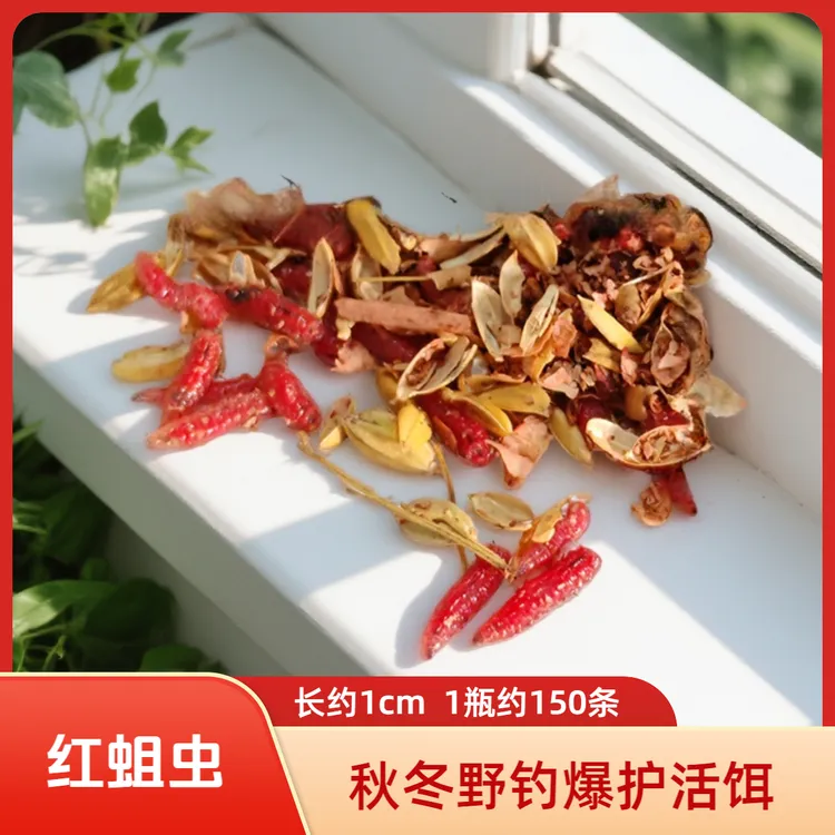 钓鱼红蛆虫150条小个体鲜活活饵饵料鲫鱼鲤鱼马口野钓鱼饵料溪流