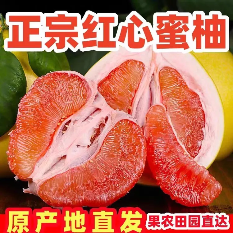 L【红心柚】正宗头茬老树红心柚子水果新鲜采摘多仓发货