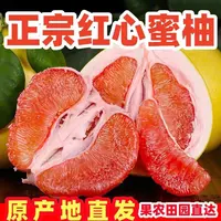 W9【红心柚】正宗头茬老树红心柚子带箱5斤水果新鲜采摘多仓发货