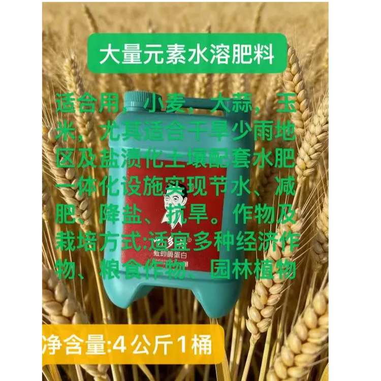 大量元素水溶肥料