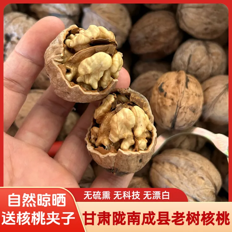 核桃果25年新货甘肃陇南成县百年老树核桃果老品种核桃果核桃之乡