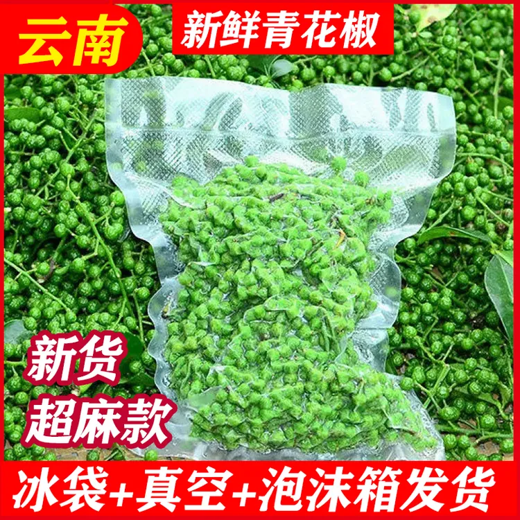 云南昭通九叶青新鲜青花椒清香纯正颗粒饱满适合餐饮