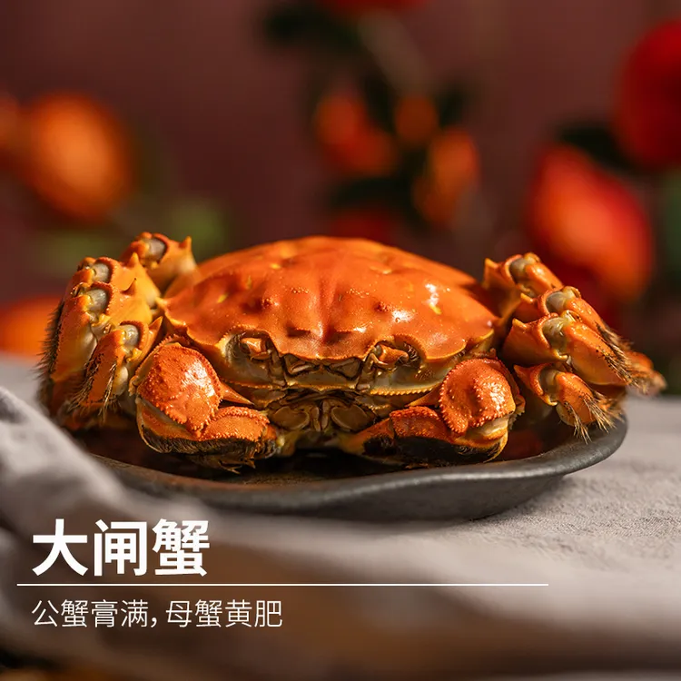 【活蟹】大闸蟹母蟹2.5两/只 公蟹3.5两/只 4对8只顺丰包邮极客农场