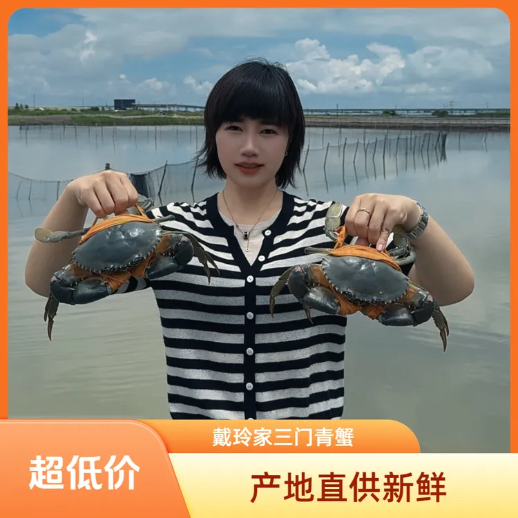 正宗三门青蟹公蟹膏蟹小娘蟹送礼精美礼盒装（肉肉专属链接）