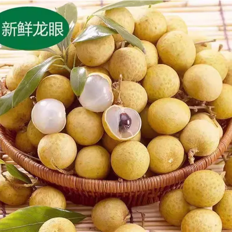 新鲜龙眼正宗石峡龙眼储良龙眼广东惠州龙眼带枝发货