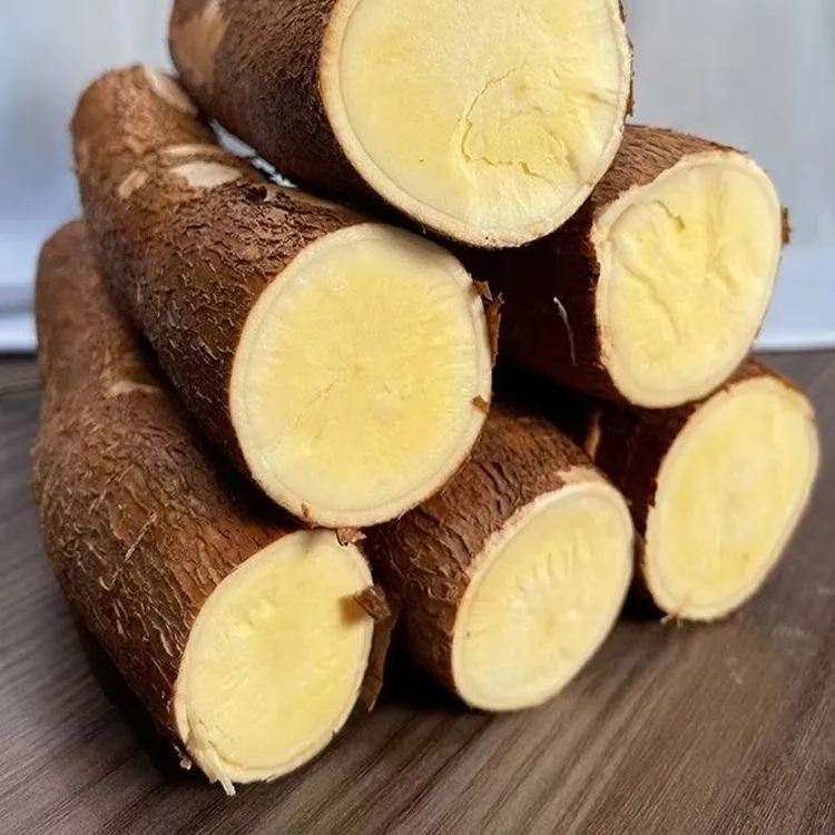 苒彩广西正宗华南9号黄心木薯煮糖水专用新鲜现挖粉糯糖水店专用