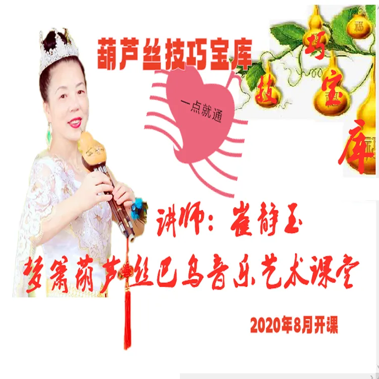 【技巧宝库】葫芦丝初、中、高级技巧专栏（50课必备）