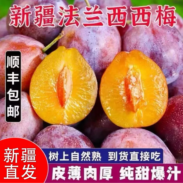 【馨馨优先】新疆西梅喀什法兰西西梅新鲜水果当季整箱顺丰包邮