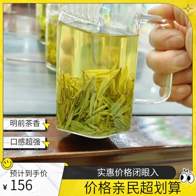 明前毛尖黄金芽浓香耐泡豆香味高山云雾绿茶买贵包退A8