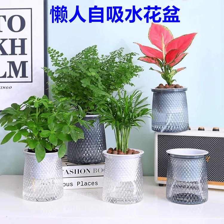 水培花盆塑料简约自动吸水家用白掌绿萝花卉小花盆北欧轻奢风器皿