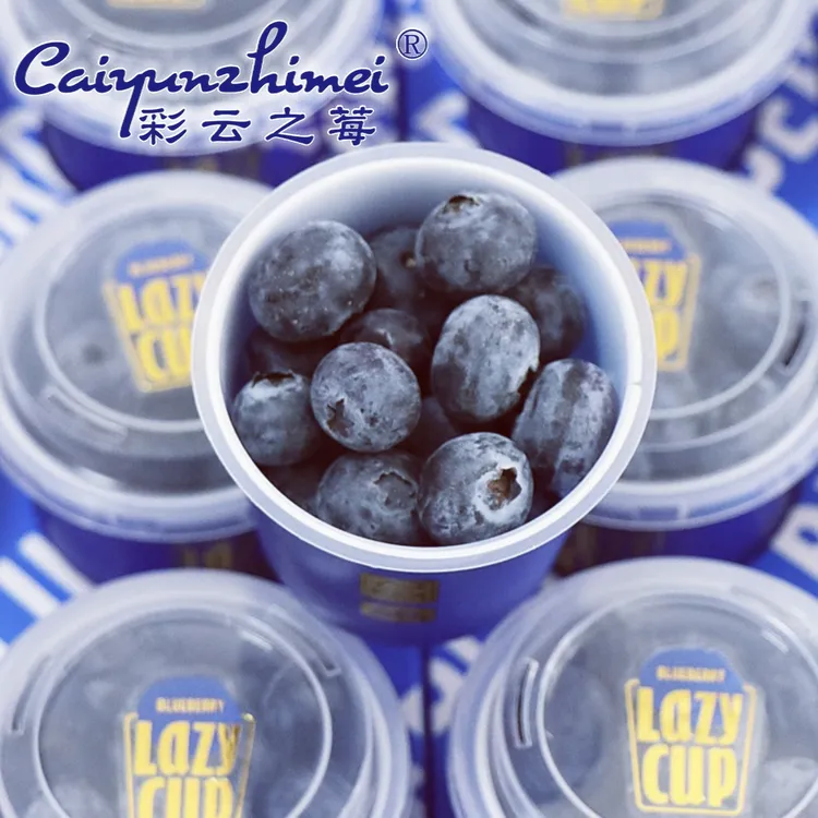 【十件套宝宝果】云南高山露天生态花香甜蓝莓 A级孕妇宝宝果小蓝杯